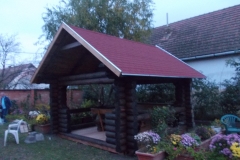 DSCN3971