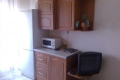 20100706207